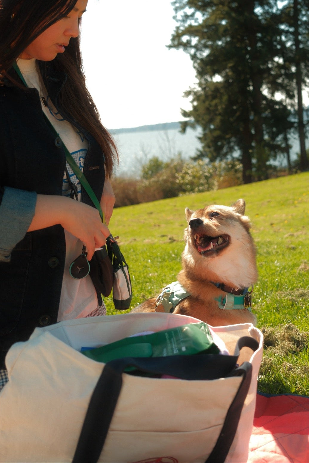 Woman with a dog sitting on a grassy field with trees and water in the background